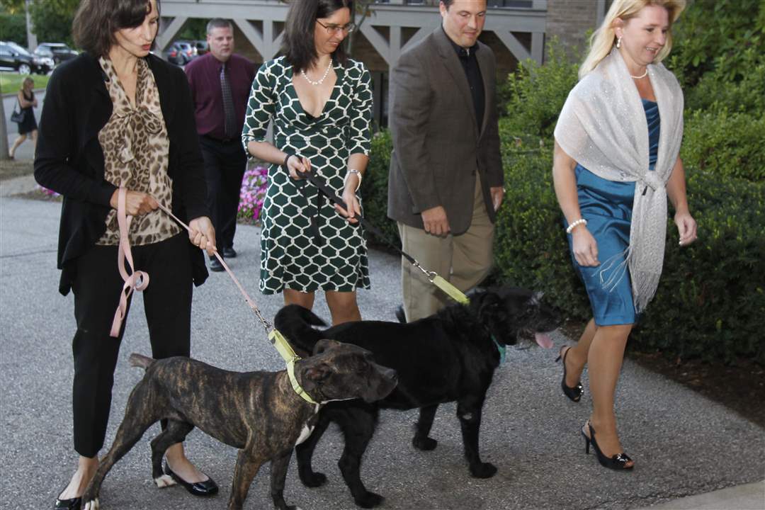 Furr-Ball-Katie-Byers-Kate-McCusker