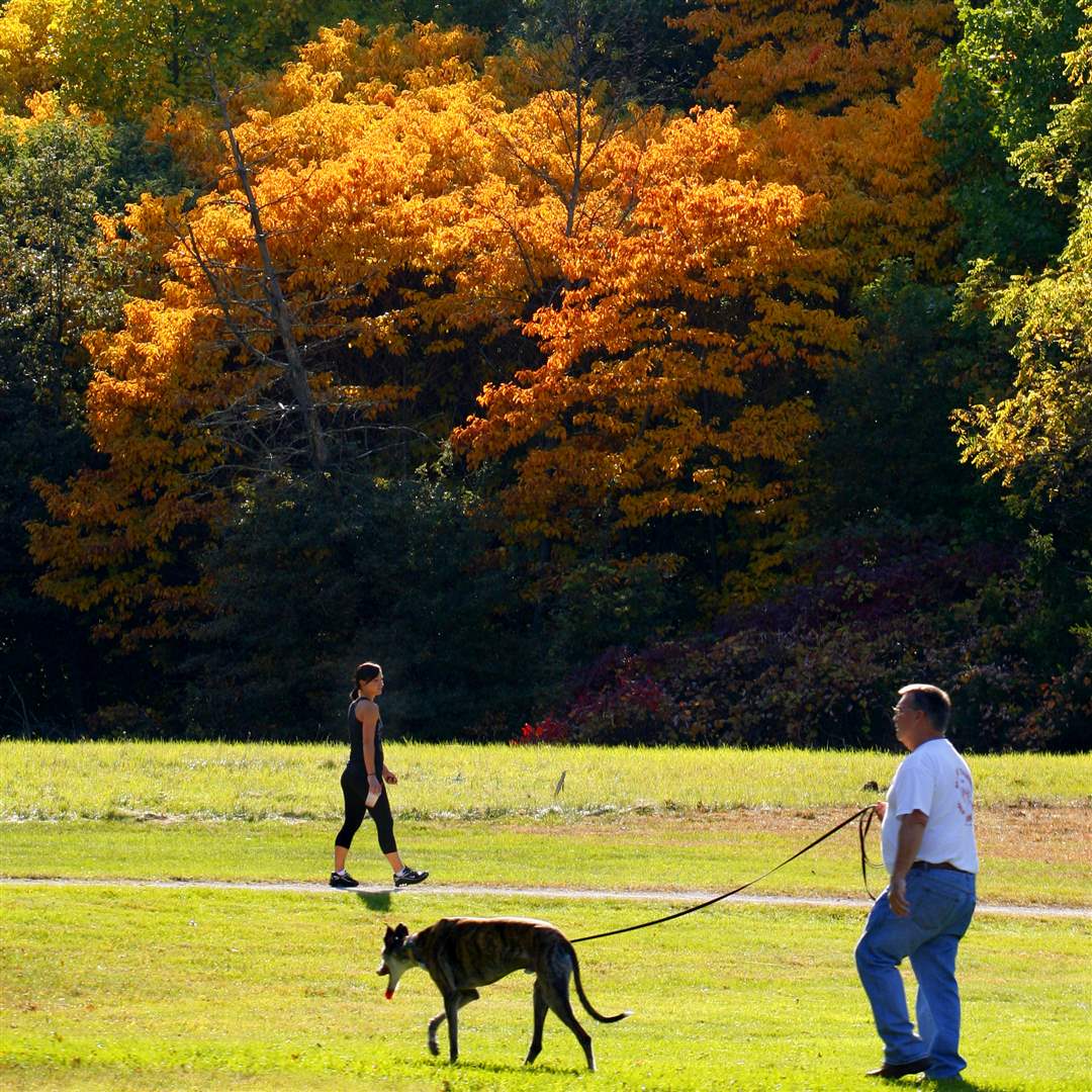 2011-fall-color-33