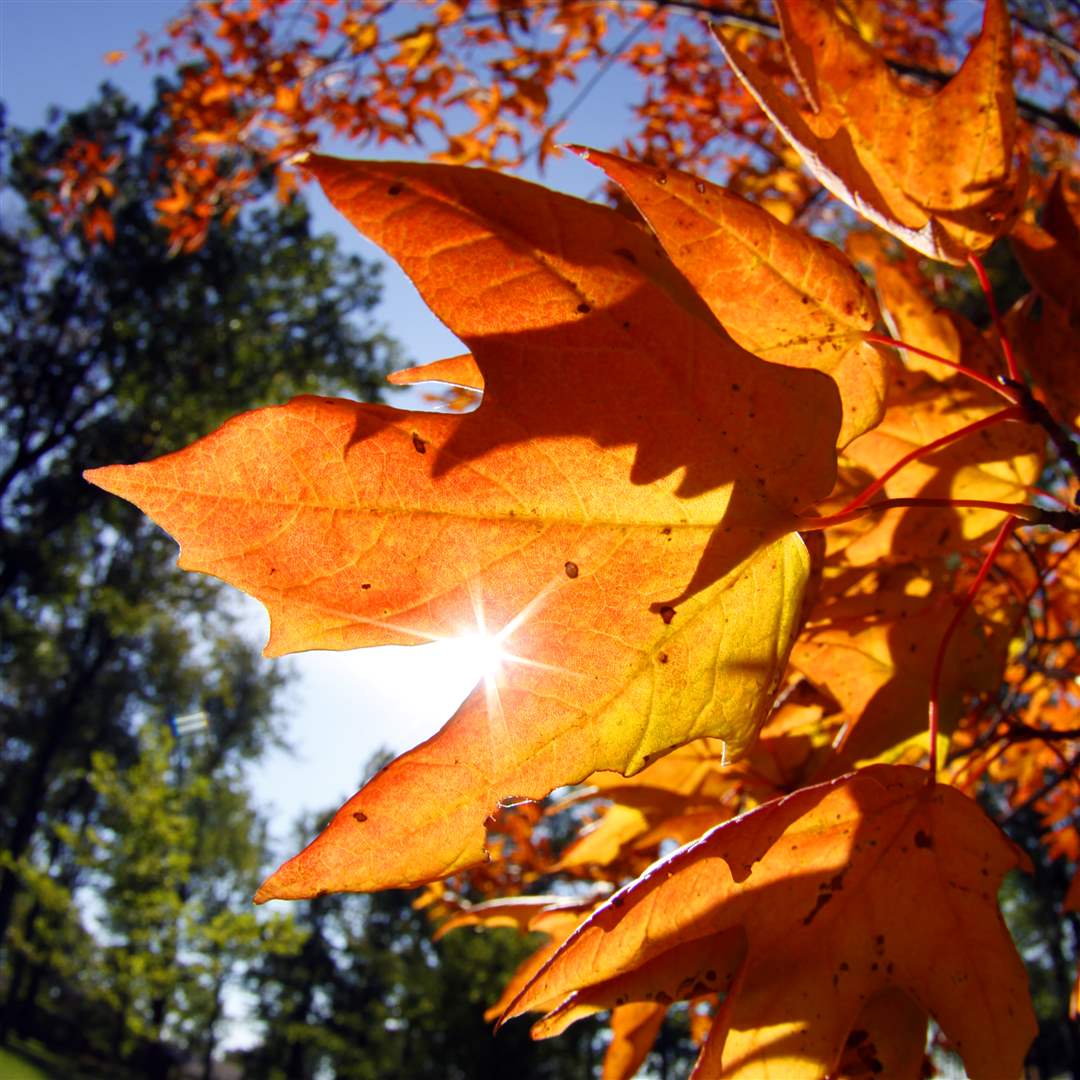 2011-fall-color-13