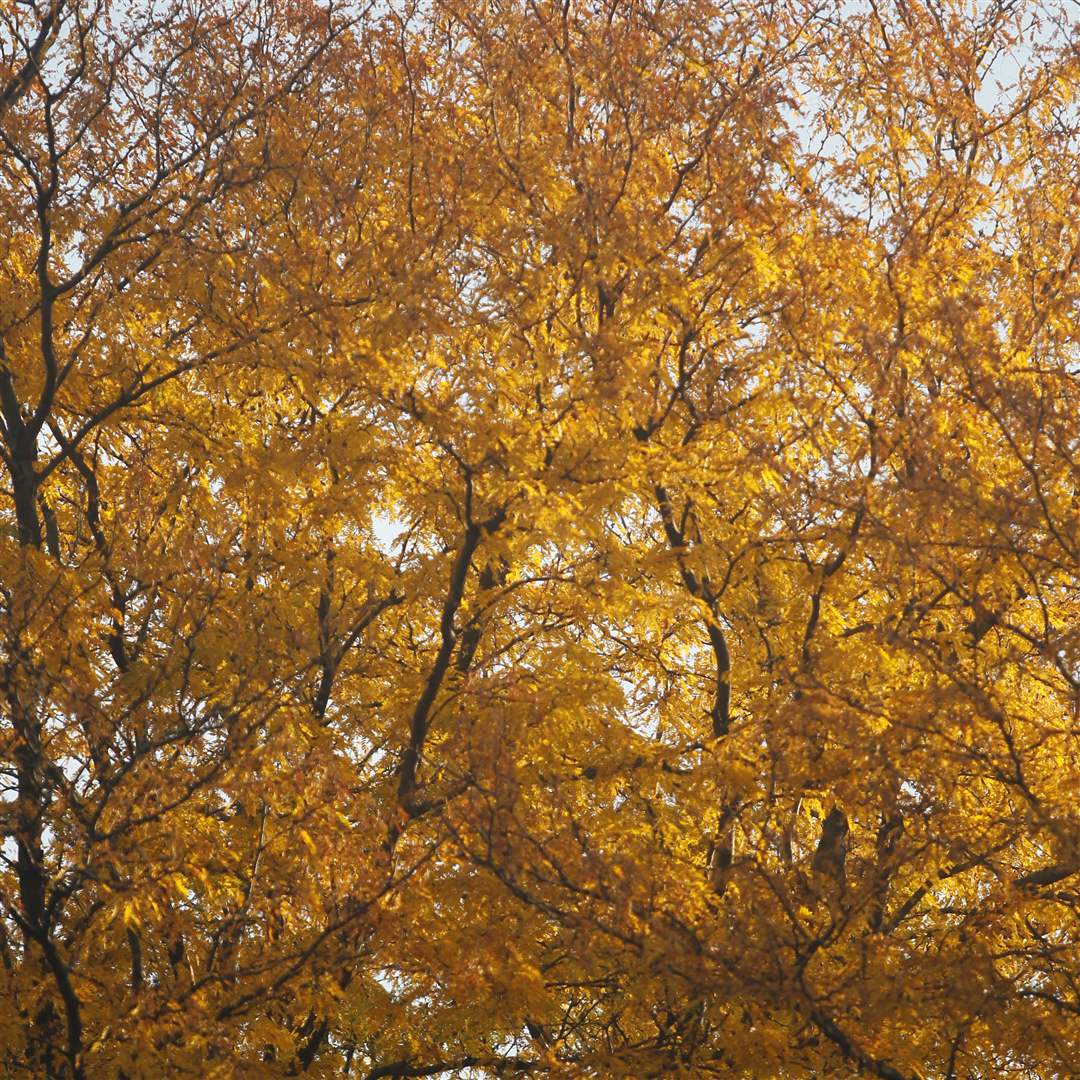 2011-fall-color-27