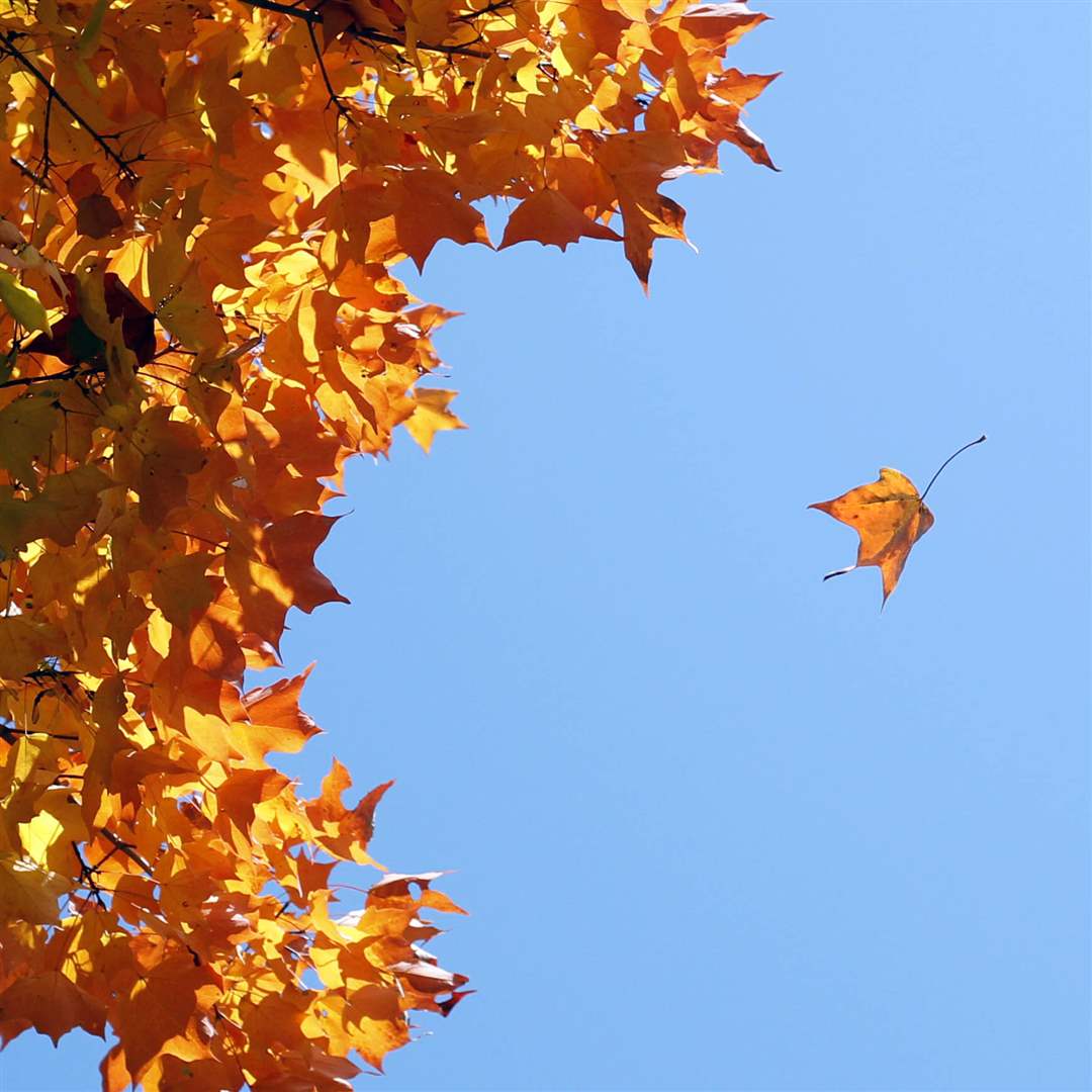 2011-fall-color-10