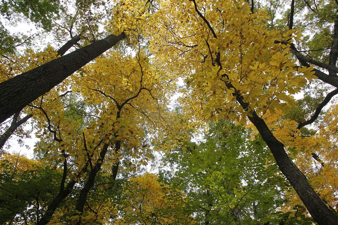 2011-fall-color-16