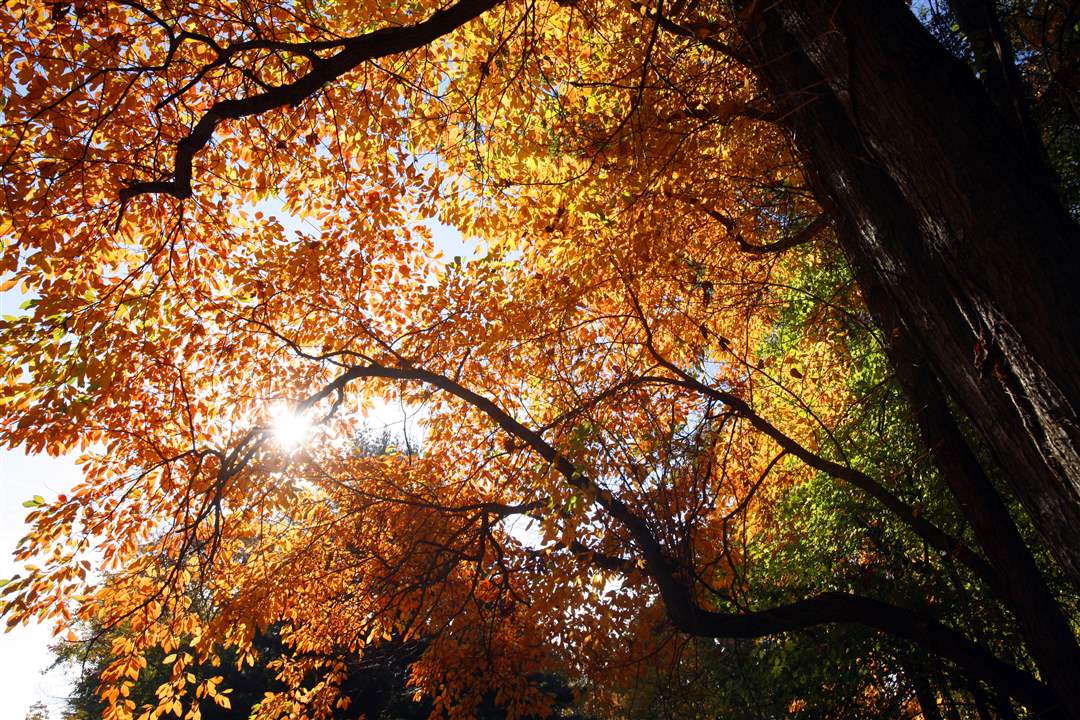 2011-fall-color-2