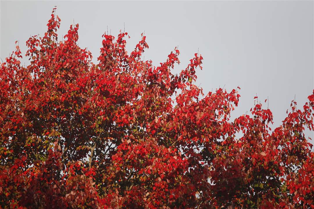 2011-fall-color-26