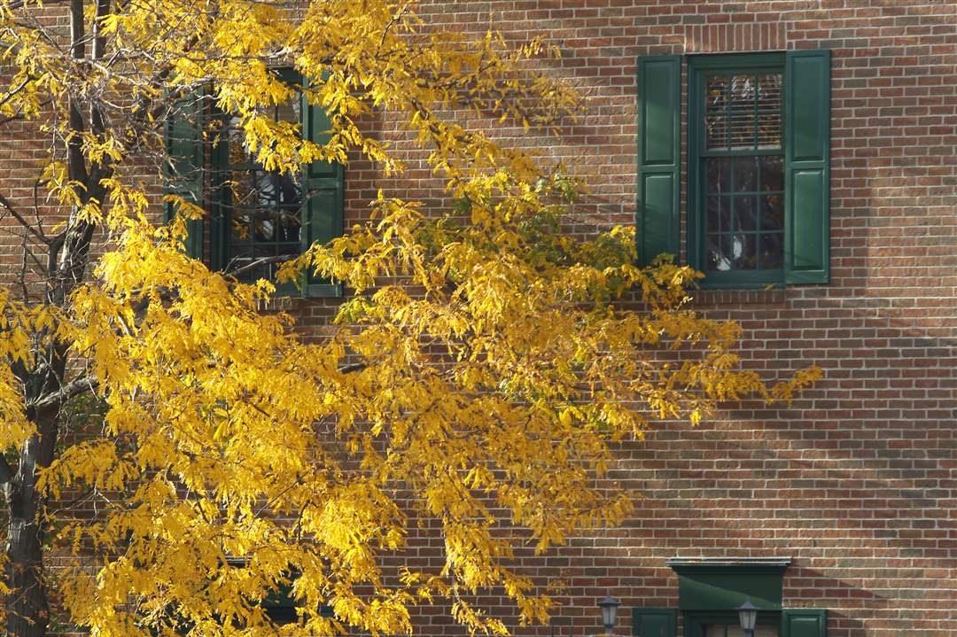 2011-fall-color-29