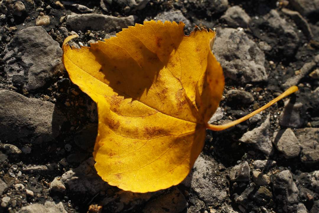 2011-fall-color-32