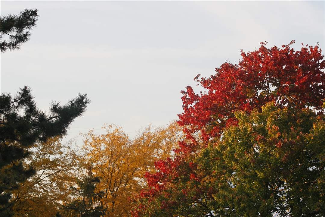 2011-fall-color-36