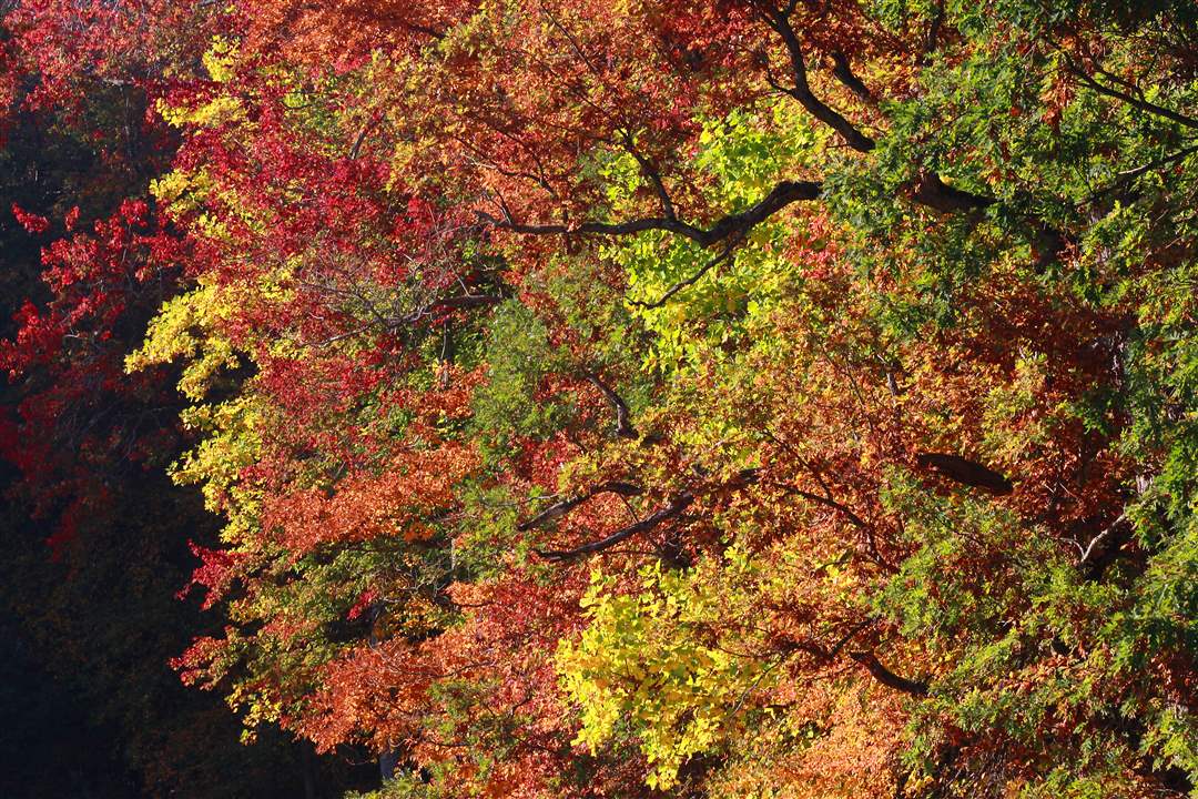 2011-fall-color-4