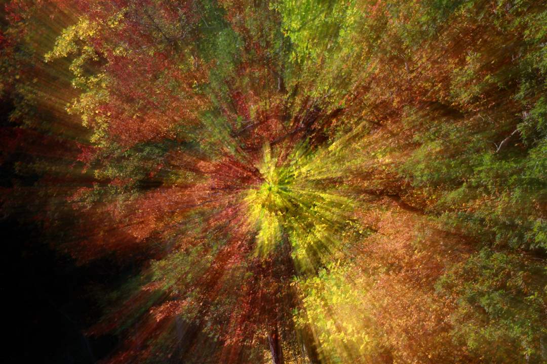 2011-fall-color-5