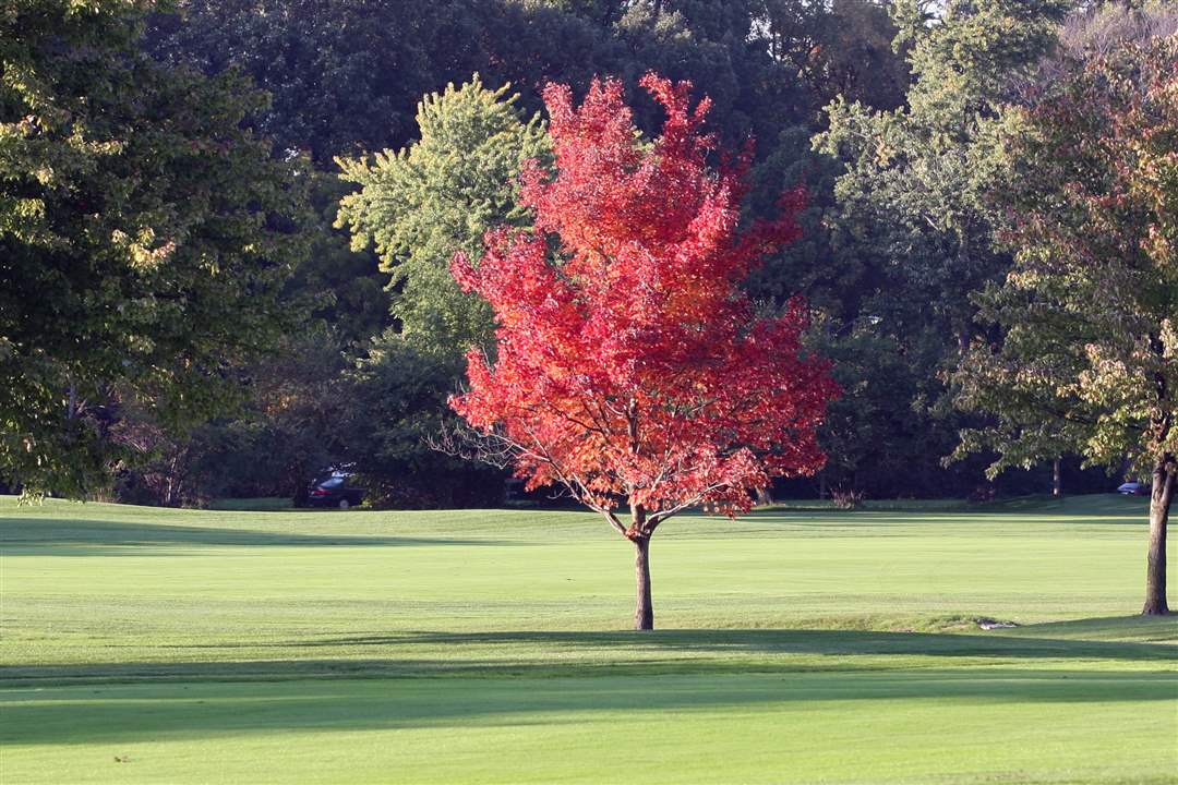 2011-fall-color-19