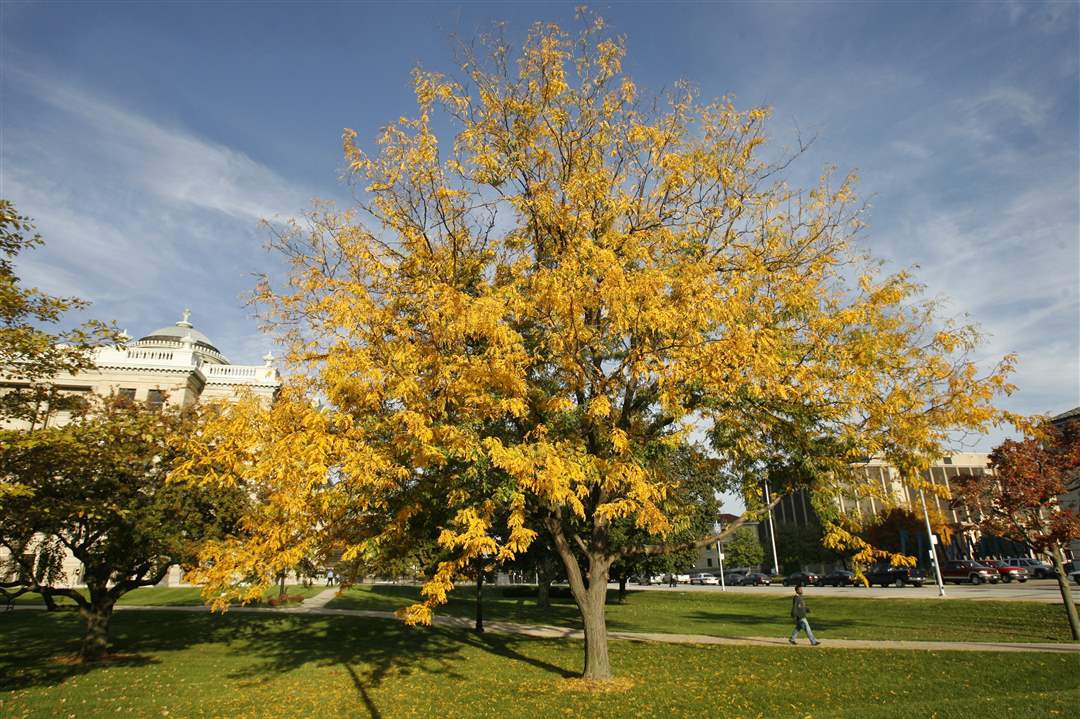 2011-fall-color-30