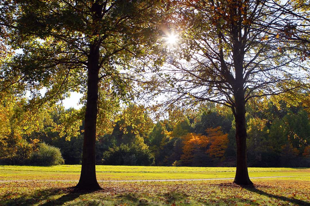 2011-fall-color-34