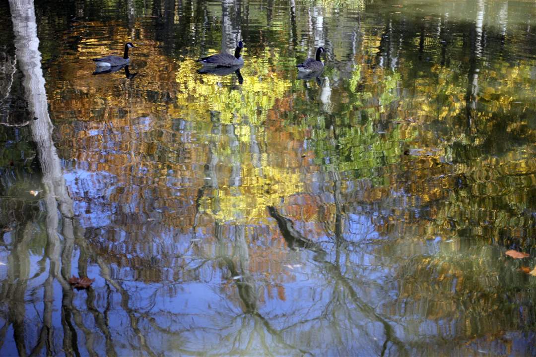 2011-fall-color-12