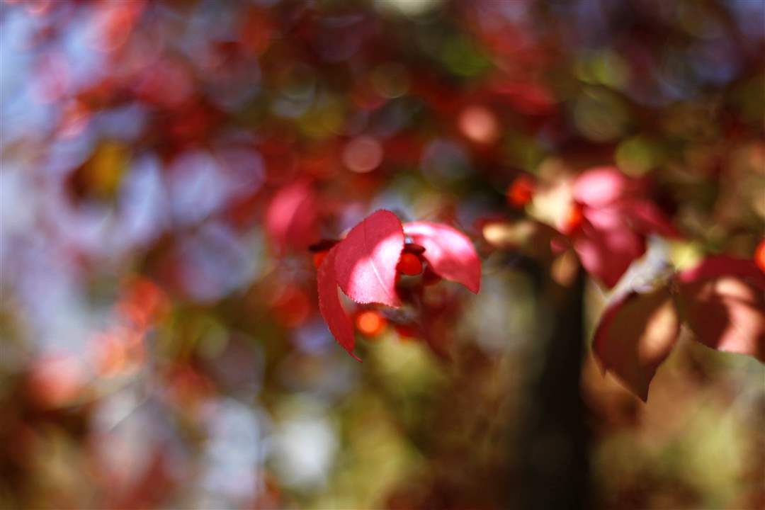 2011-fall-color-11