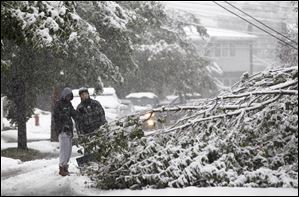 Bayron Zamora, right, 15, and Jarell Finley, 17, look at a down tree as heavy snow created issues with down lines and trees during a rare October snowstorm that hit the Northern New Jersey region, Saturday, in Lodi, N.J.