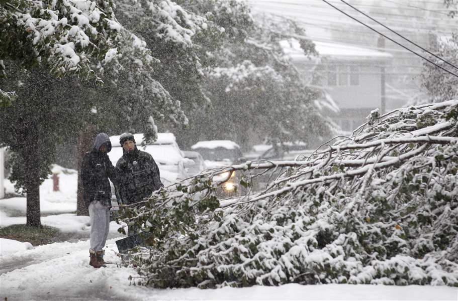 October-Snow-topples-power-lines