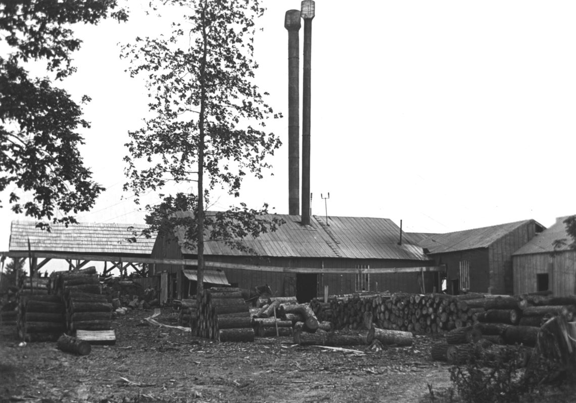Study Focuses On Lakeside Attraction That Vanished Toledo Blade