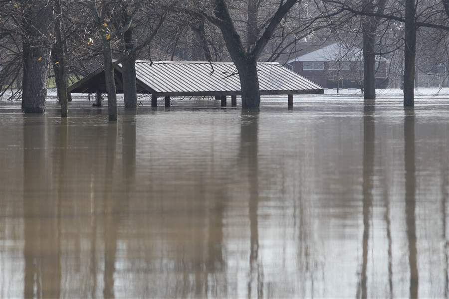 Water-picnic-shelter-roof