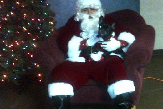 sylvania-pets-santa-5