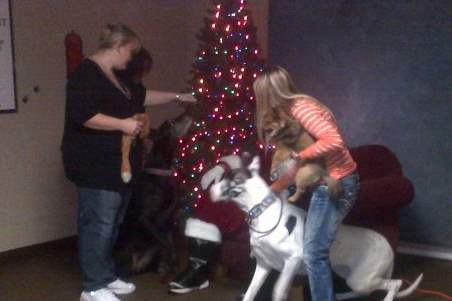 sylvania-pets-santa-7