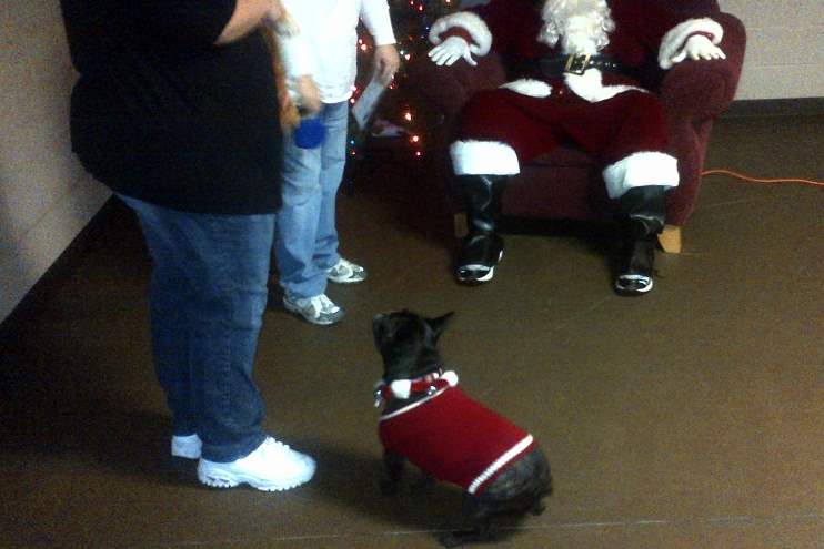 sylvania-pets-santa-10