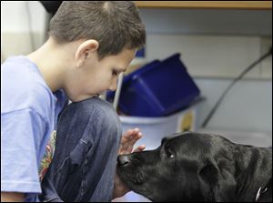 Mason McLaughlin, 10, plays with Bilko, the guide dog belonging to his student teacher, Jenna Karg. Not surprisingly, Bilko was a big hit with the Frank Elementary School students. But so was Ms. Karg.