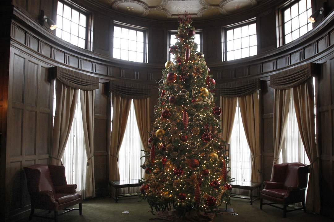 toledo-museum-ambassadors-tree