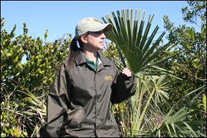 Ranger Hayley Crowell says climate, habitat and no natural predators, suit the aliens who devour native species.