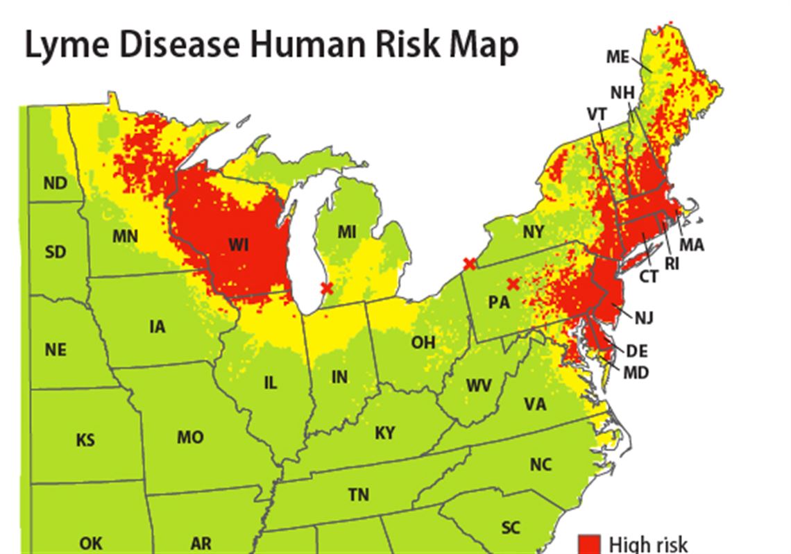 Map Pinpoints Lyme Disease High Risk Areas Emerging Regions
