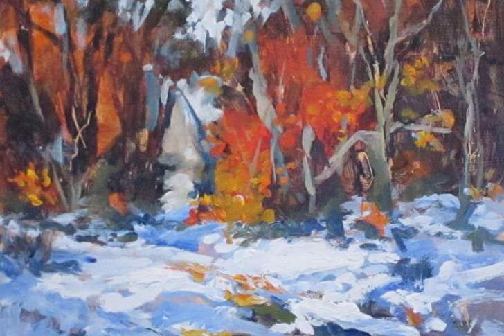 Snowy-woods-with-color-Aaron-Bivins