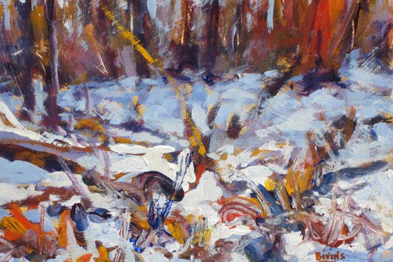 Winter-Beauty-Aaron-Bivins