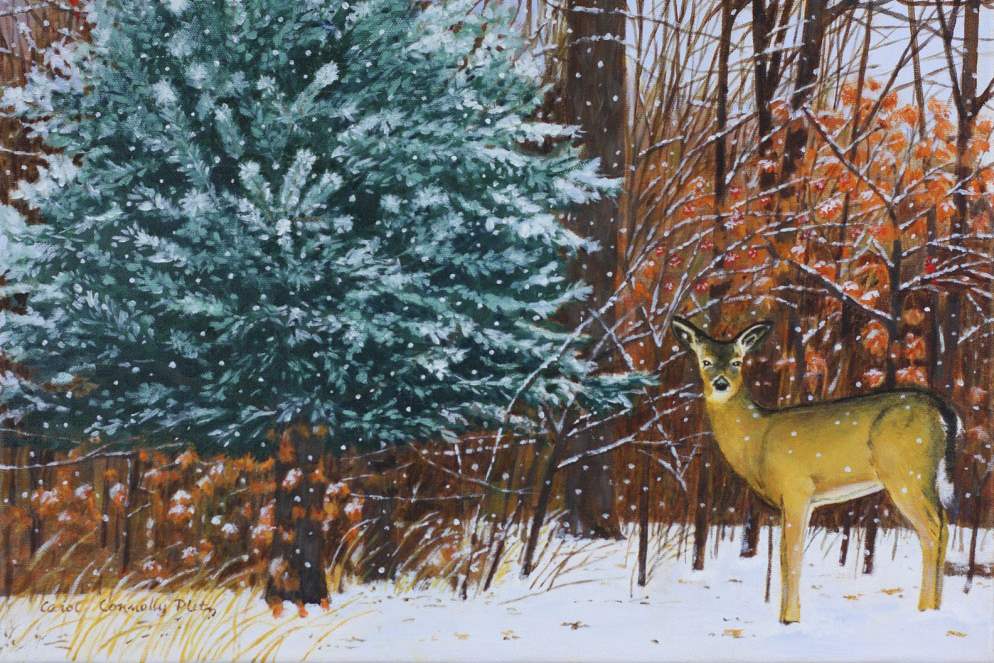 Carol-Pletz-Deer-Encounter