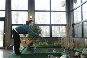 Debbie Nofzinger puts a yellow-bellied slider in the water at a new exhibit at the W.W. Knight Nature Center. The exhibit runs through March 11.