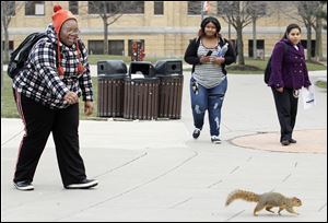 Bowling Green State University freshman Najwa Matthews of Elyria, Ohio, tries to feed a squirrel on campus Reb. 1.