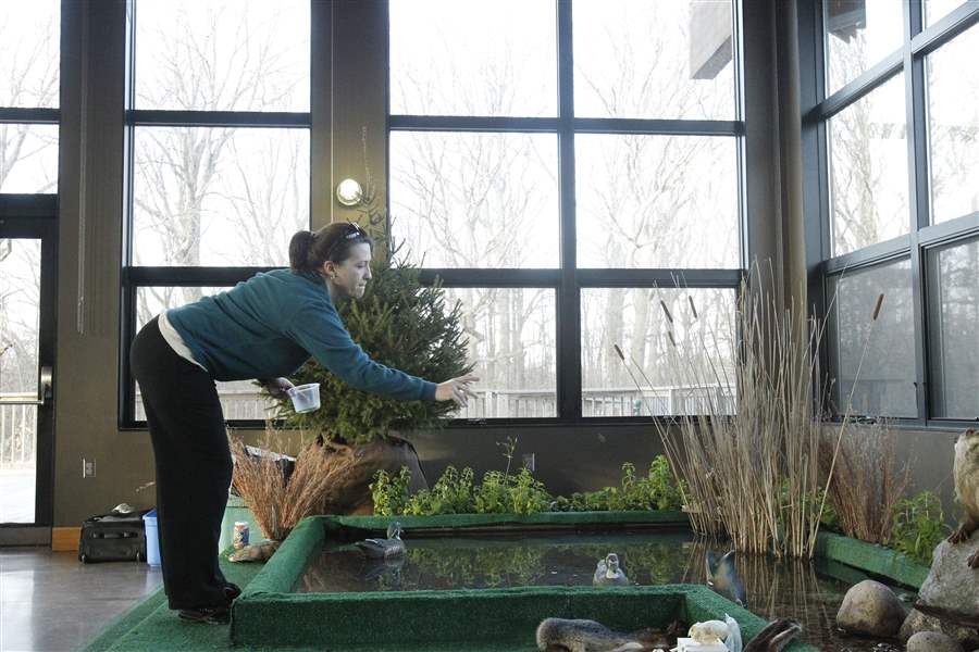 Great-outdoors-comes-indoors-at-new-exhibit