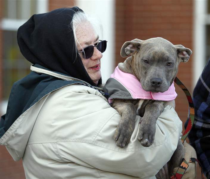 Pit-adoptions