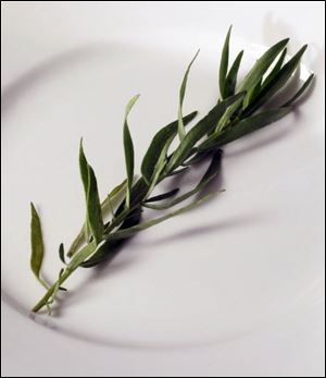 A judicious amount of tarragon is springtime on a plate.