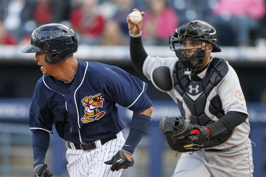 Hens-Berry-tagged-out