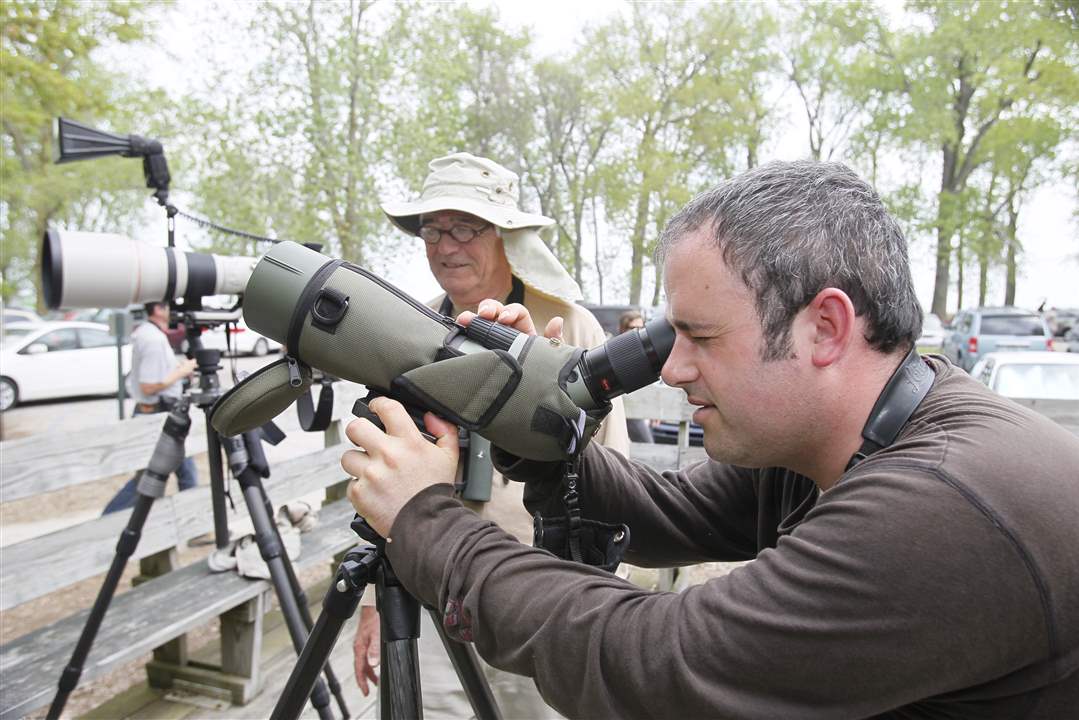 The Biggest Week In American Birding at the Magee Marsh Trail The Blade