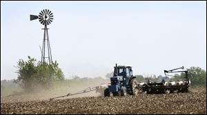 Some of this year's corn crop in the United States may be ready for use earlier than normal because of a fast start to the planting season.
