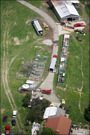 A brown bear is moved from a transport cage to another cage on the Thompson farm shortly after the animal was moved from the Columbus Zoo and Aquarium.