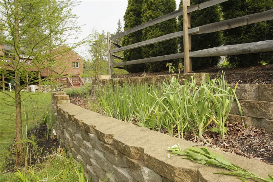 asparagus-garlic-rivera-garden