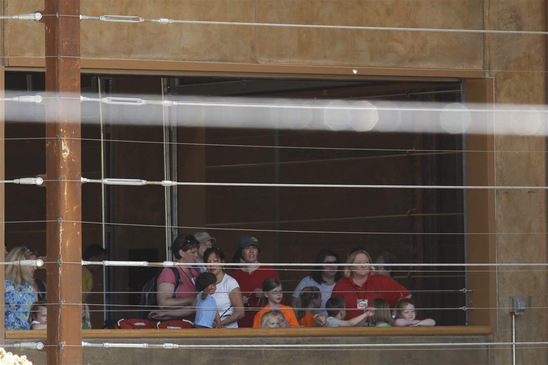 A-window-to-the-elephant-exhibit