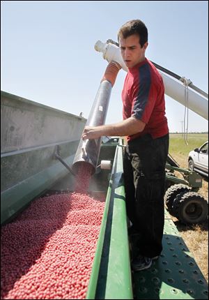 Kennen Haas loads soybeans into a grain drill before planting in a field at Needles and Potter roads near North Baltimore in Wood County. Mr. Haas' father, Brad, who owns the farm, called this year's planting season 