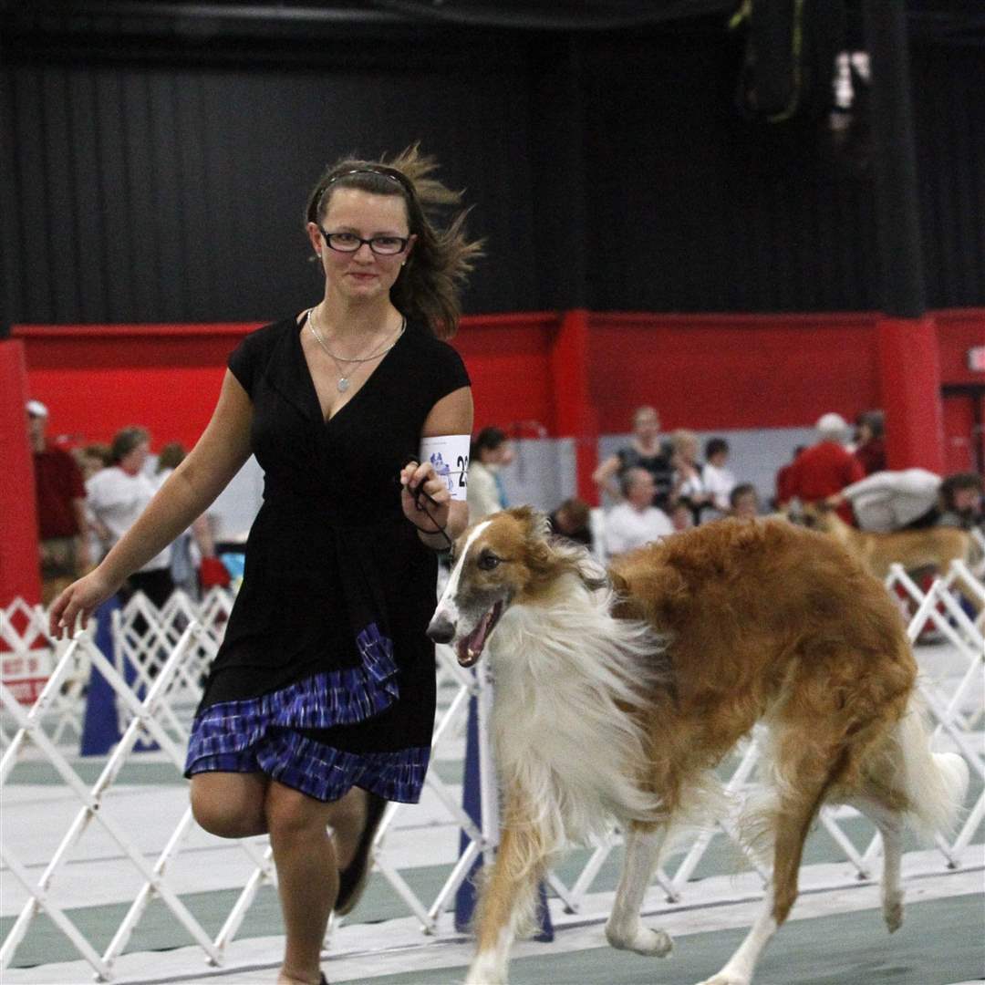 burkey-dog-show