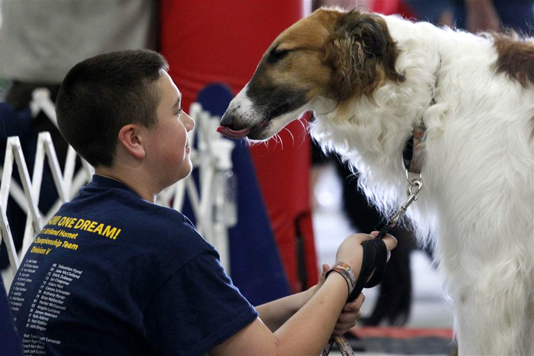 bennett-dog-show