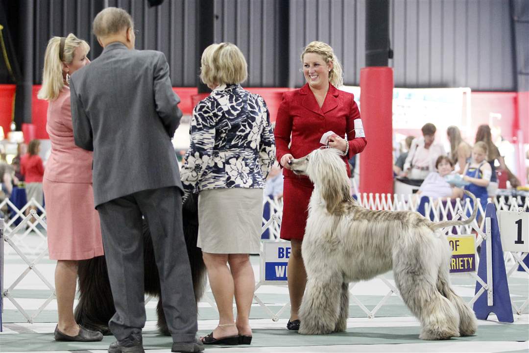 kuhn-windy-dog-show