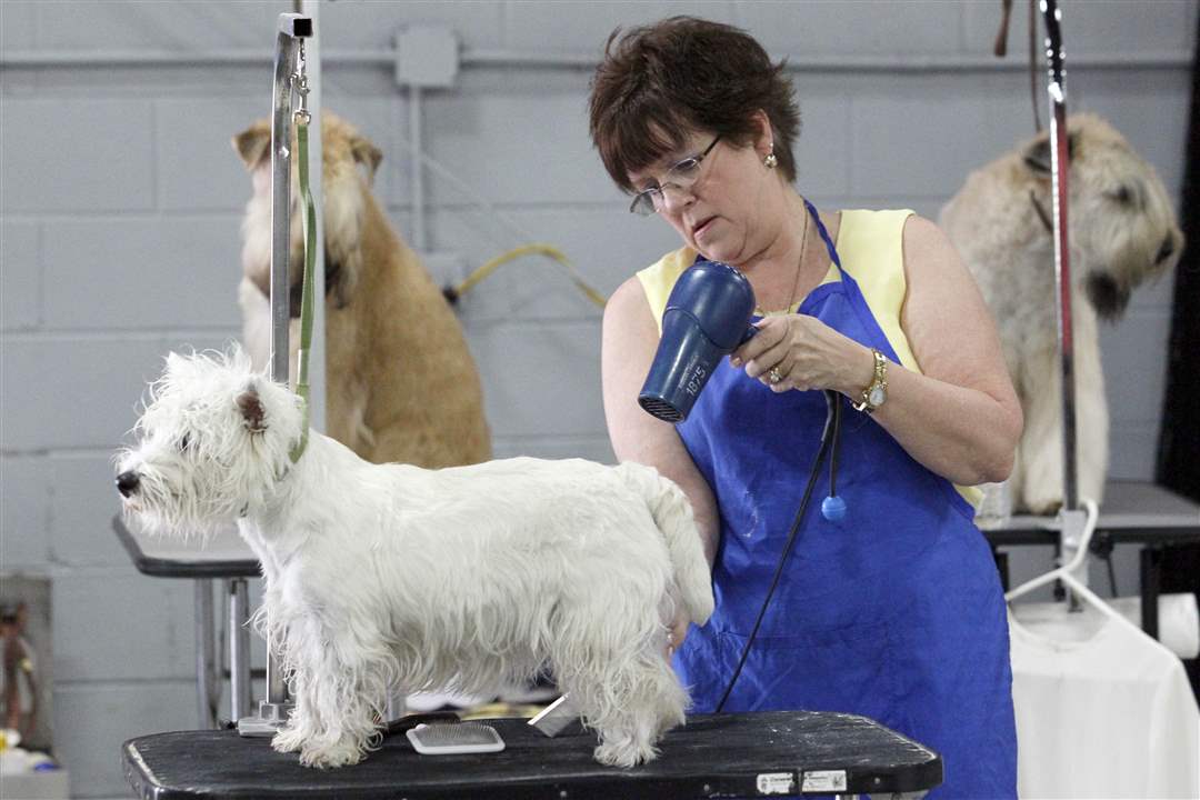 Toledo Kennel Club Dog Show The Blade