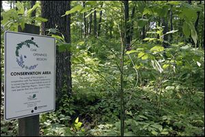 Along the driveway, notification that this is an Oak Openings conservation area. 