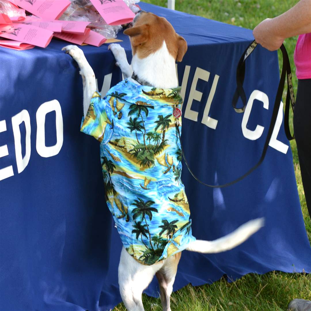 76dd4f74-dee0-43b4-9c47-6fc38905f811